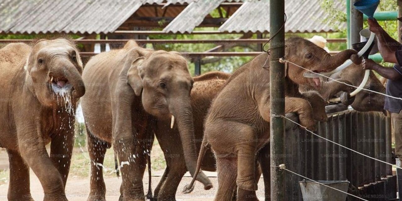 17 Days / 16 Nights in Sri Lanka