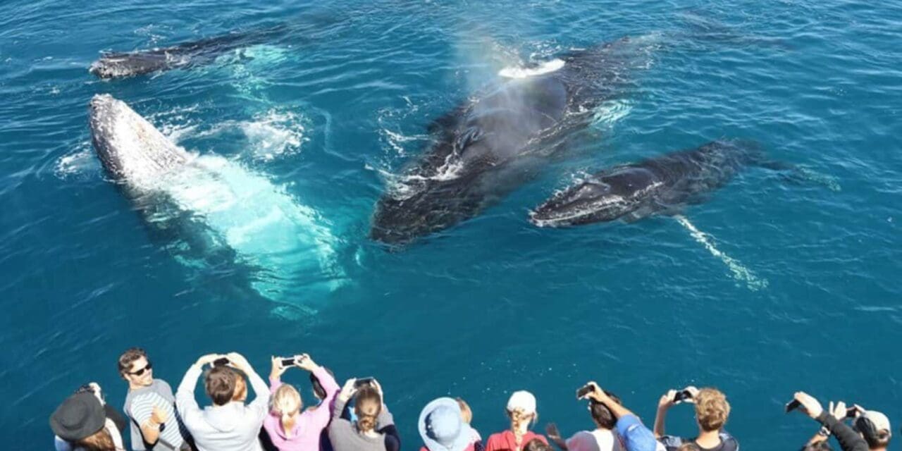 14 Days / 13 Nights in Sri Lanka