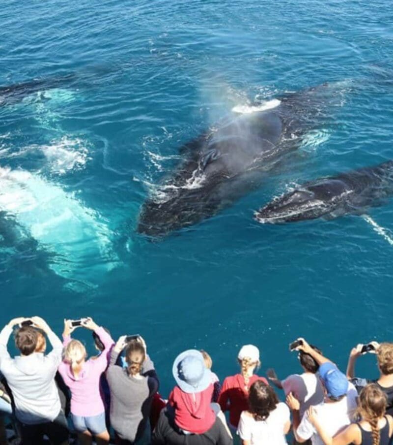 14 Days / 13 Nights in Sri Lanka