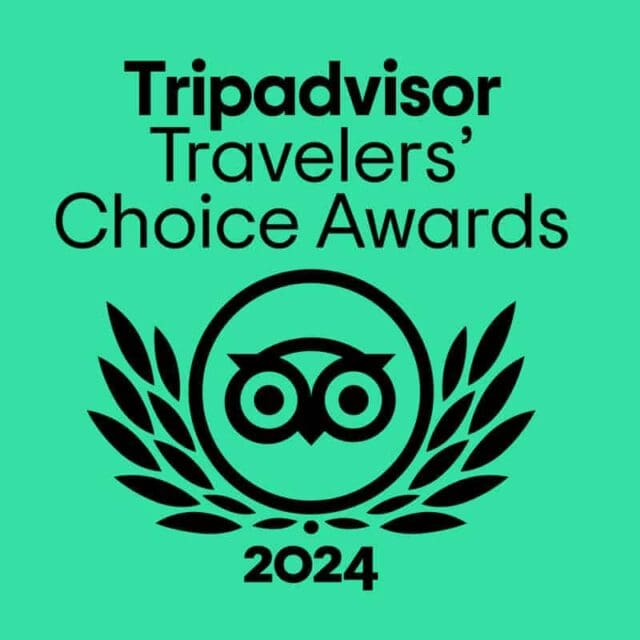 excellent in tripadvisor 