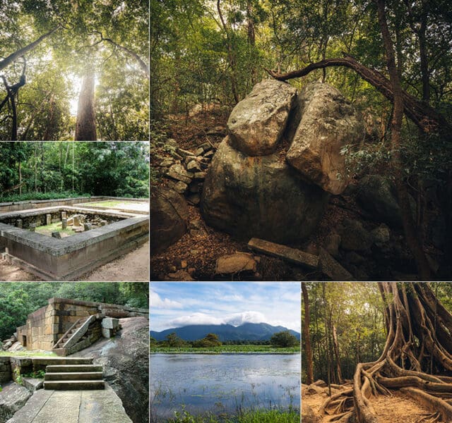 Stone steps and ruins of Ritigala Monastery hidden in a jungle forest