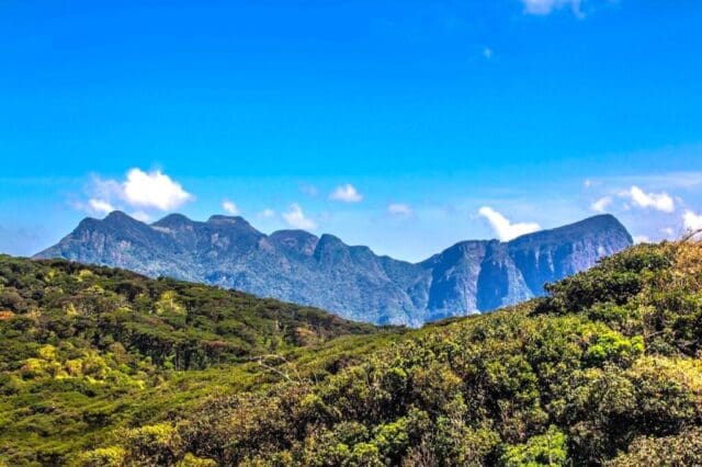 Hikers on a misty trail in the Knuckles Mountain Range in central Sri Lanka