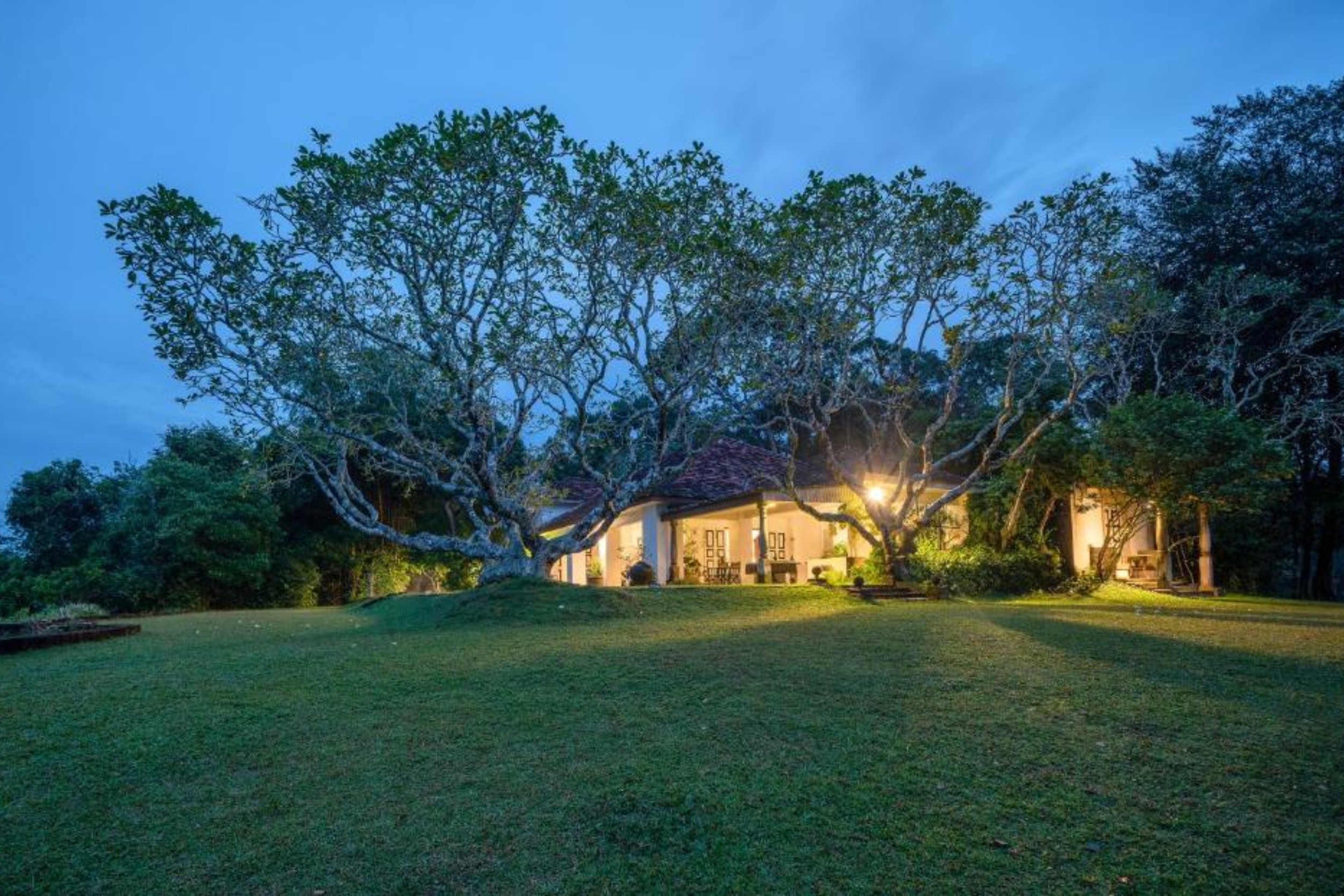 https://srilankatourdriverwithcar.com/wp-content/uploads/2025/05/lunuganga-estate-bentota-sri-lanka.jpg